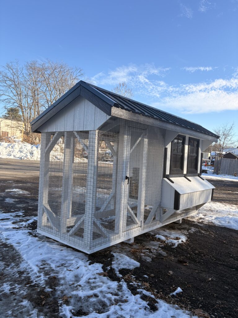 4′ x 12′ Chicken Coop with Run