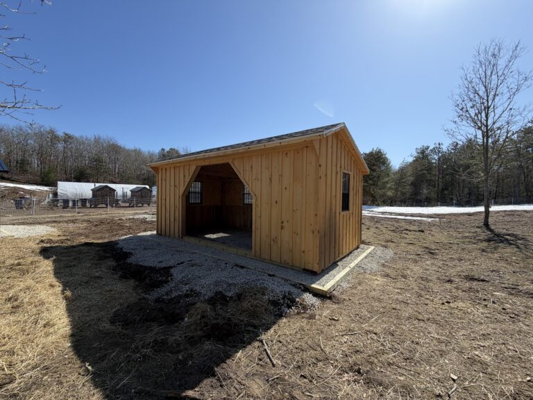 10′ x 20′ Board and Batten Horse Run In