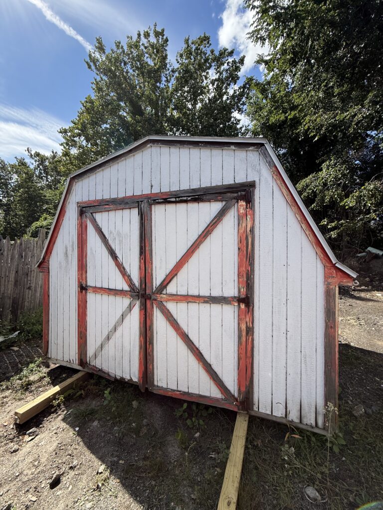 8′ x 10′ (Used) Painted Gambrel Shed